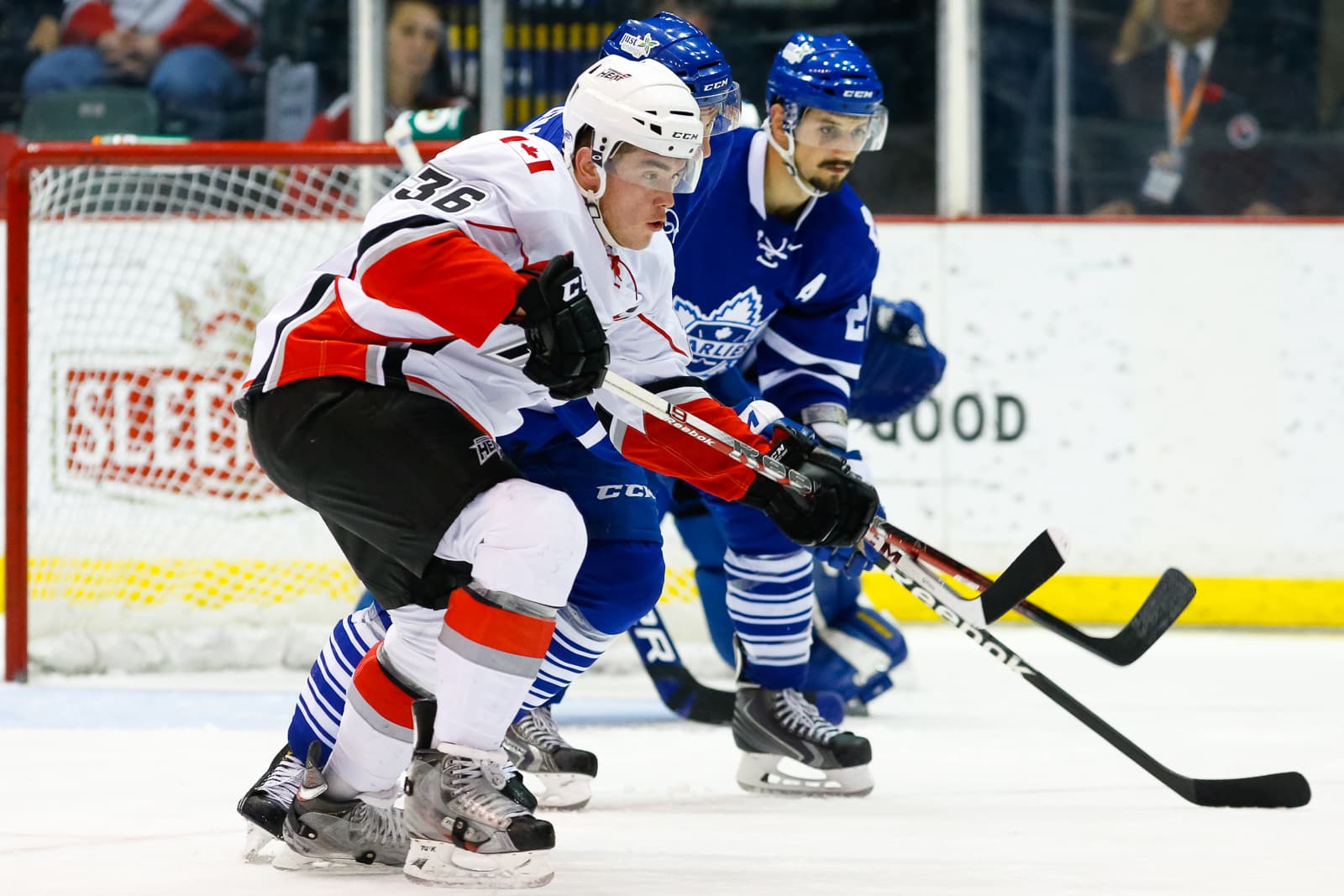Easton Cowan's Calder Cup Run Is Quietly Rebuilding the Maple Leafs' Forward Future